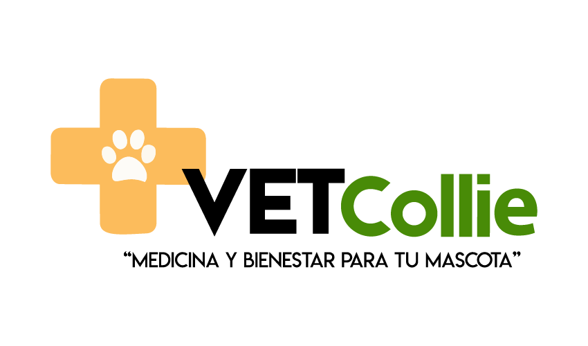 Logo sponsor 6